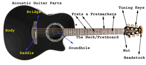 An acoustic guitar with parts labeled